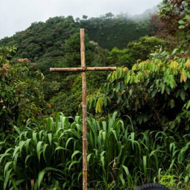 Ein Holzkreuz aus Stämmen steht vor einem Regenwald.